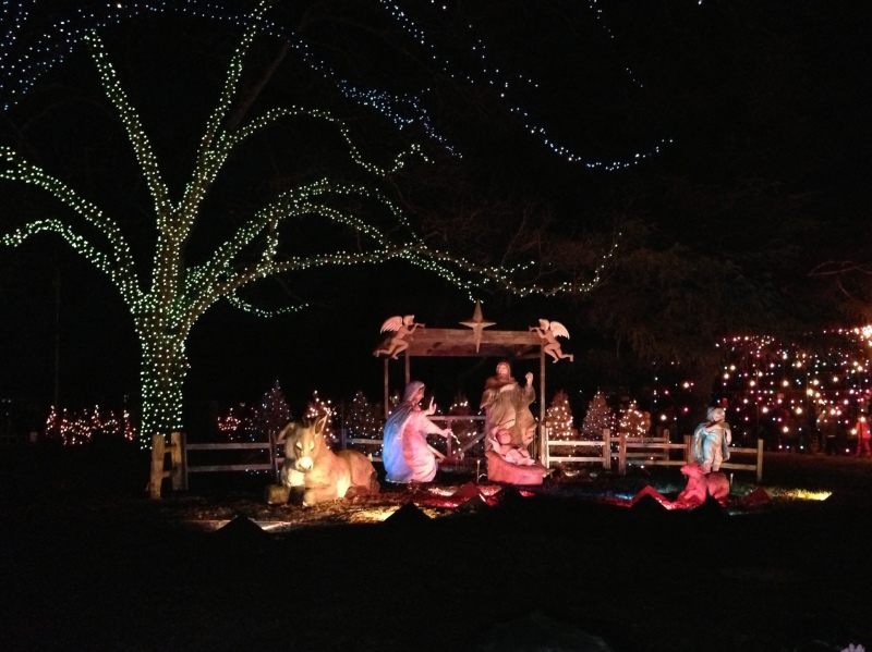 2012-12-21 18 Trail of Lights.jpg